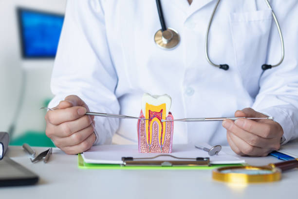 Best Emergency Dental Care for Broken or Chipped Teeth in Houston, AK
